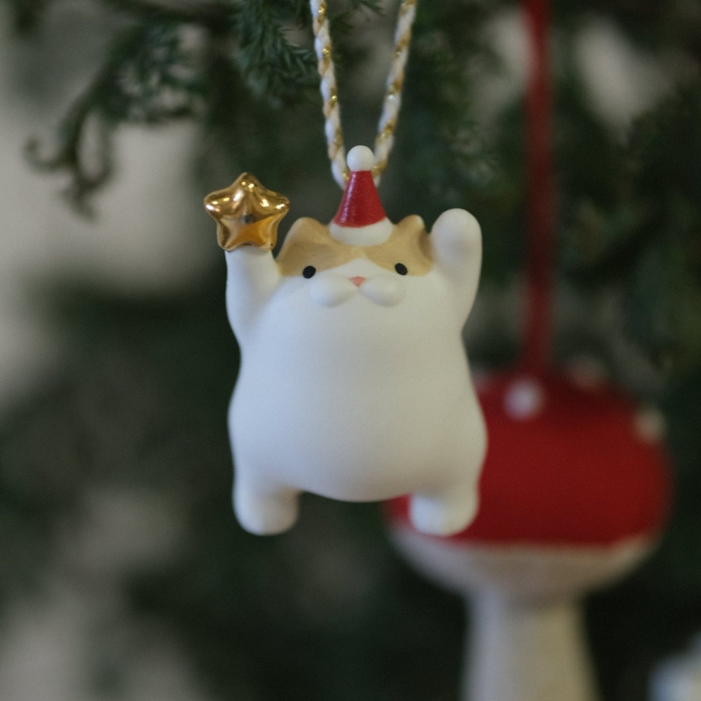 Meowy Star | Ginger White II