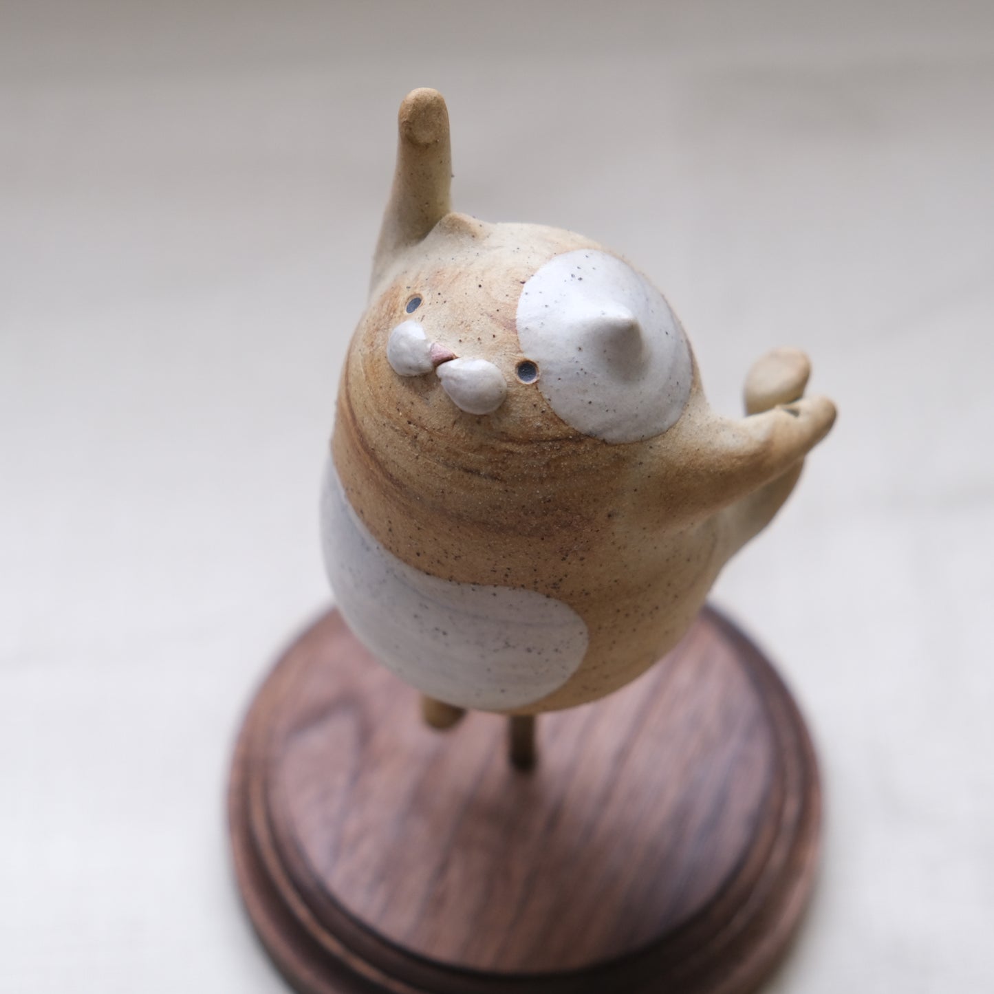 Dancing Meow