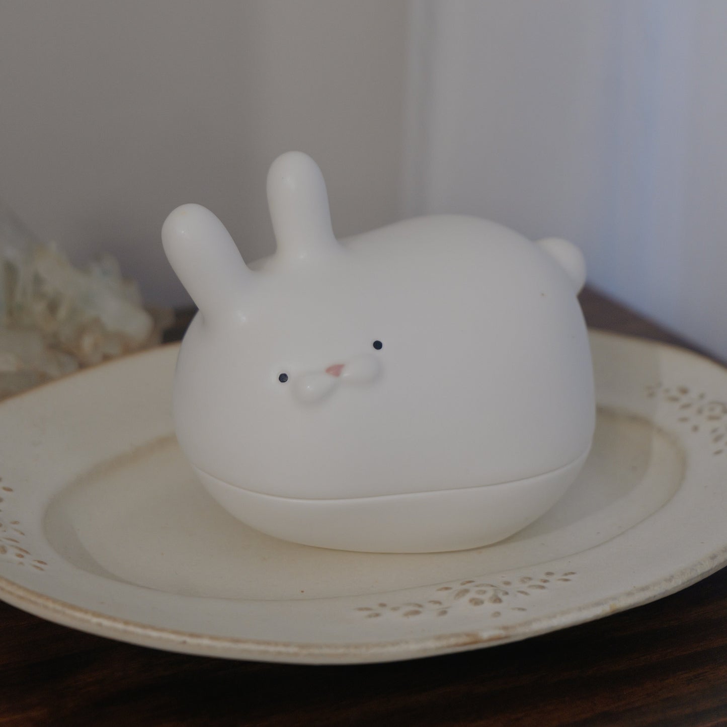 Moon Rabbit Box | 月兔盒子