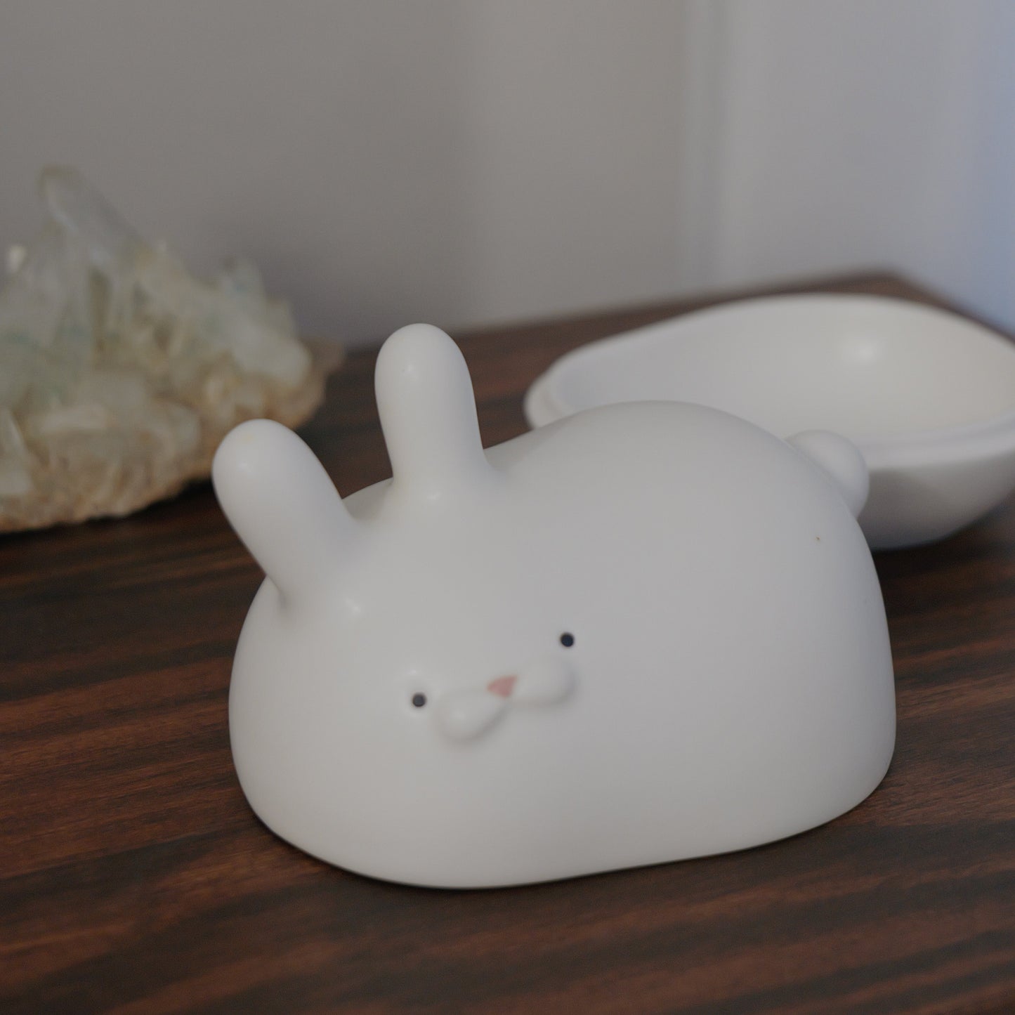 Moon Rabbit Box | 月兔盒子