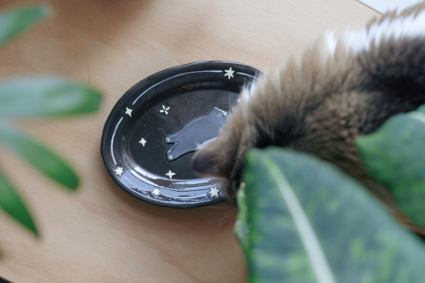 Meowy Star Oval Plate - Black (S)