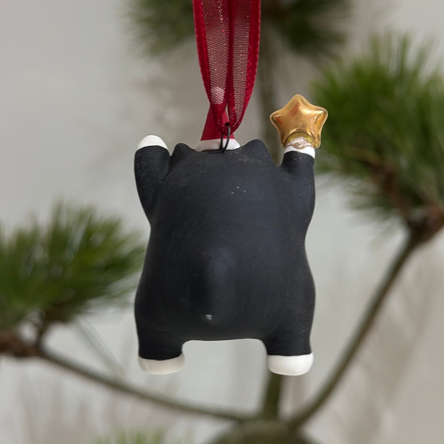 Meowy Star | Tuxedo Meow