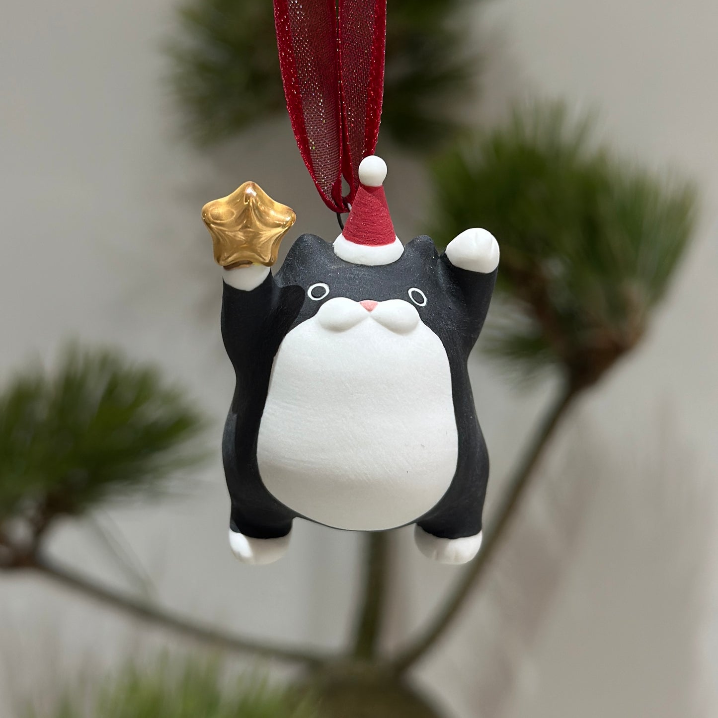 Meowy Star | Tuxedo Meow