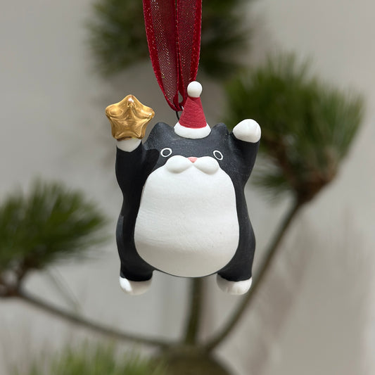 Meowy Star | Tuxedo Meow