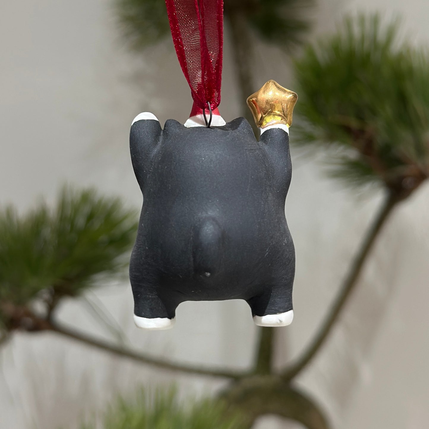 Meowy Star | Black & White