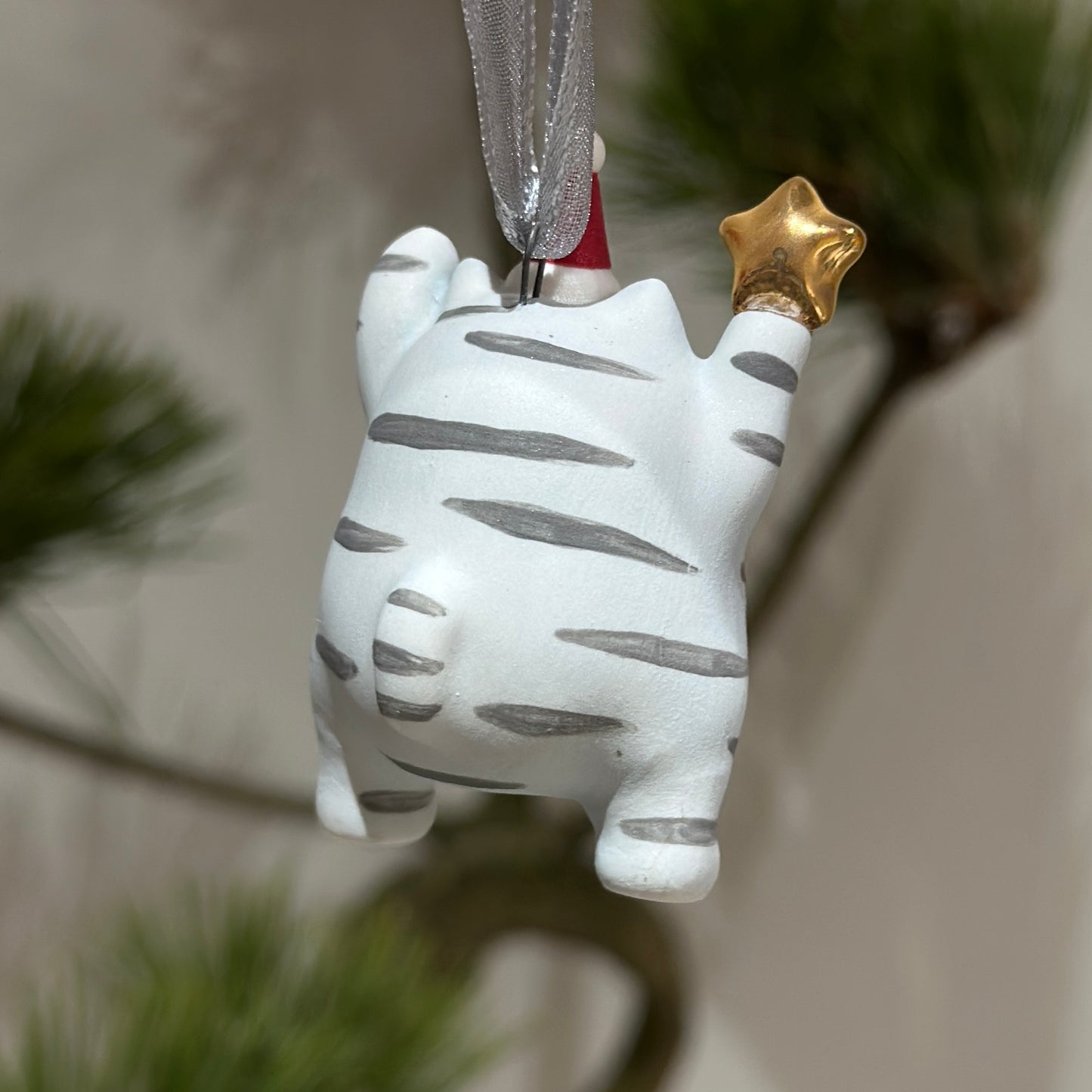 Meowy Star | Blue White Tabby