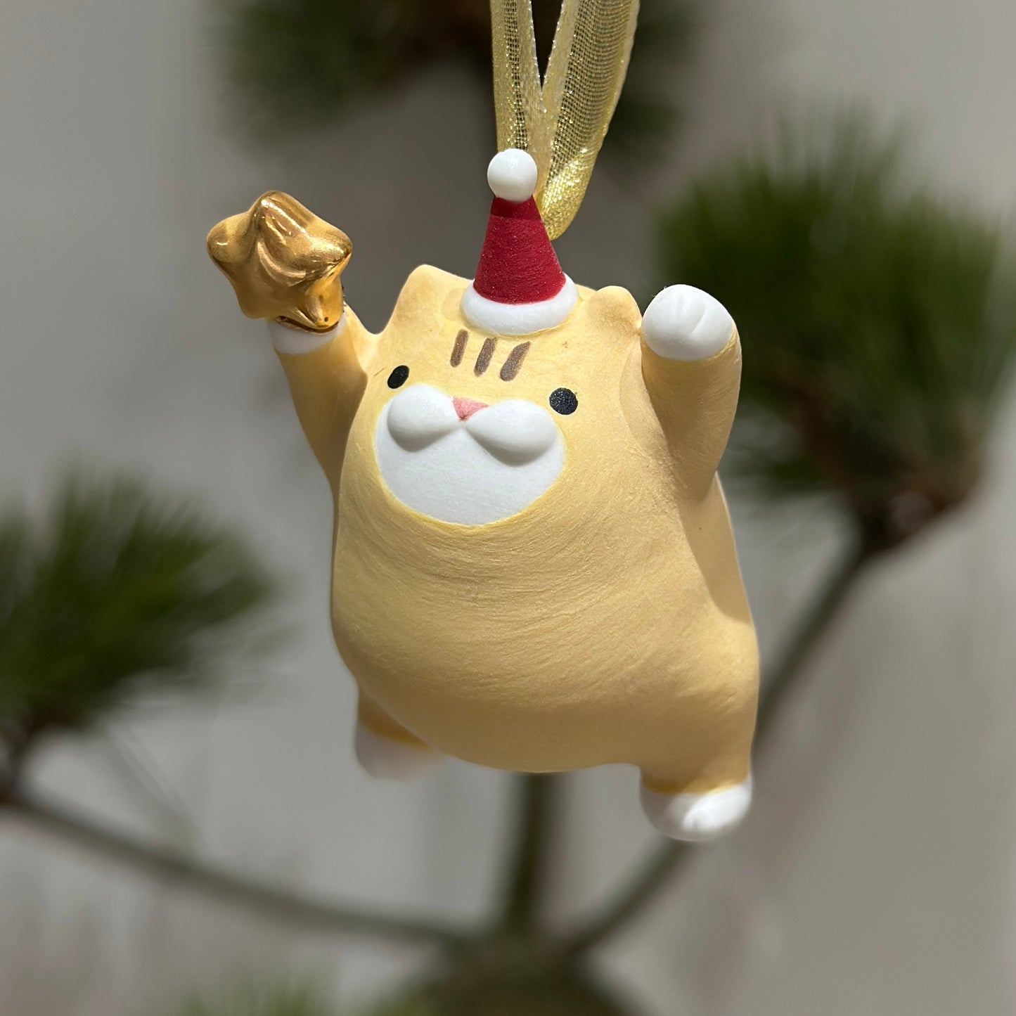 Meowy Star | Yellow Ginger