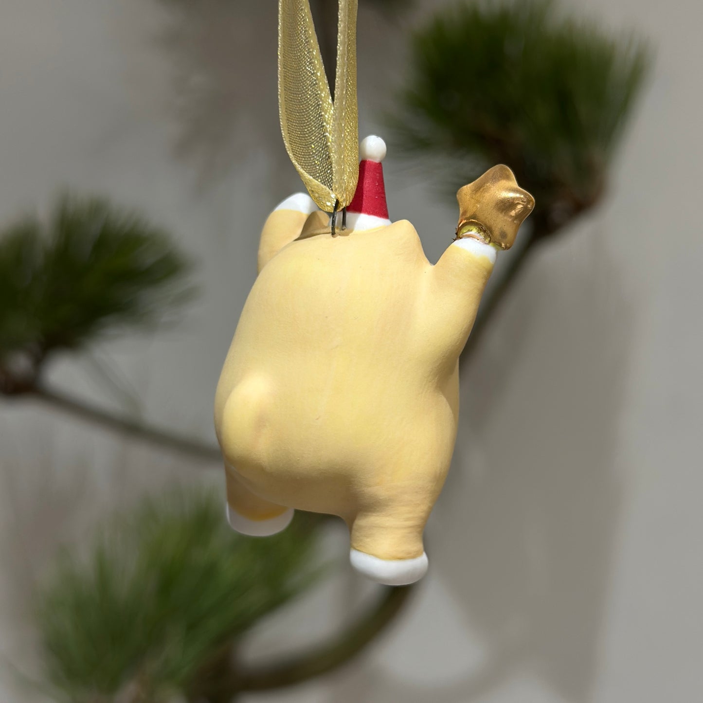 Meowy Star | Yellow Ginger