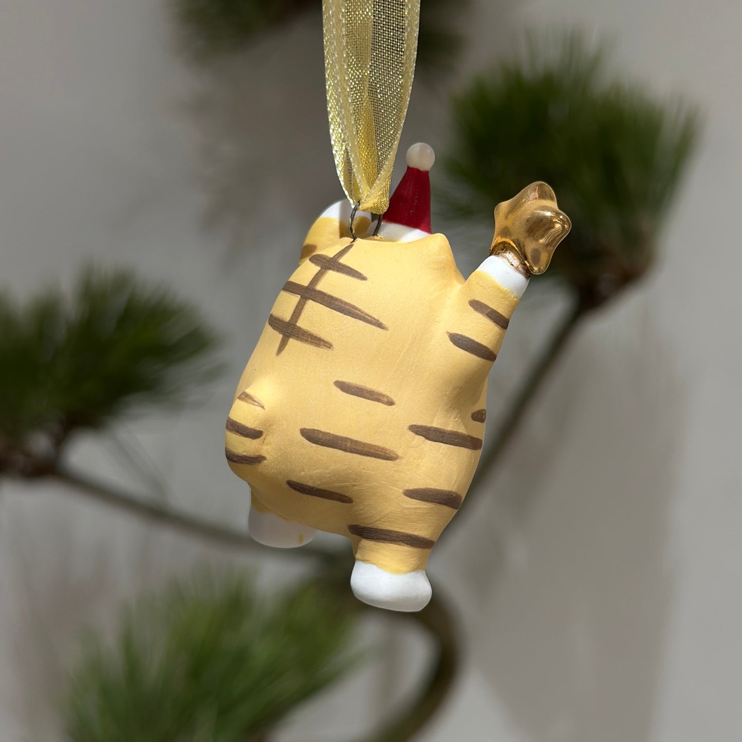 Meowy Star | Ginger White Tabby