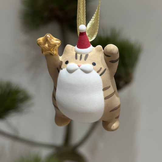 Meowy Star | Brown White Tabby