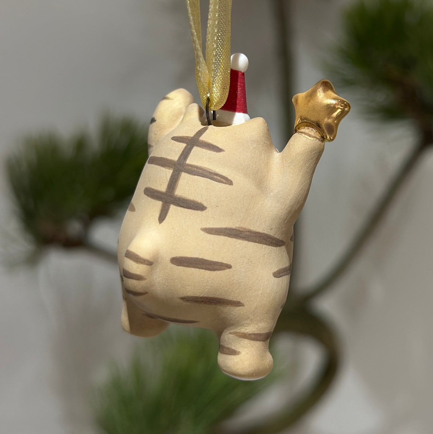 Meowy Star | Brown White Tabby